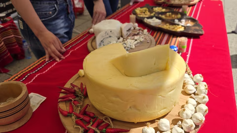 Фестивалът „От пиле – мляко“ във Враца представя традиции и иновации