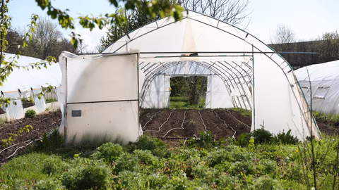 ДФЗ осигурява над 9 млн. евро за контрол на вредителите в земеделието